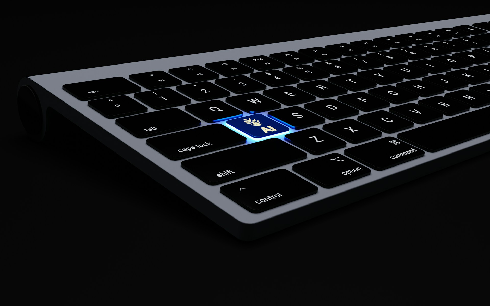 Image Credits: Unsplash